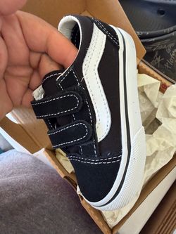 Vans 6c
