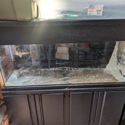 55 Gallon Tank And stand/Canopy
