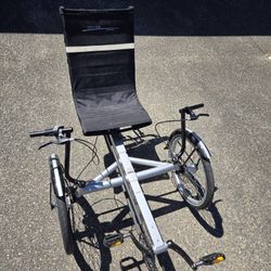 Terra Trike Tadpole