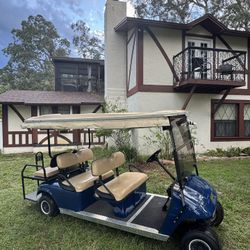 EZGO 6 Passenger
