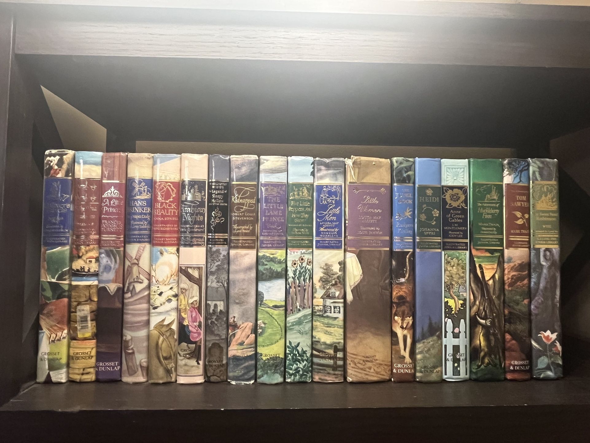 Vintage Classic Literature Book Collection