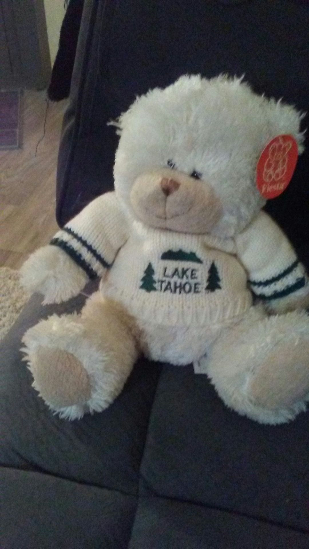 Lake Tahoe teddy bear