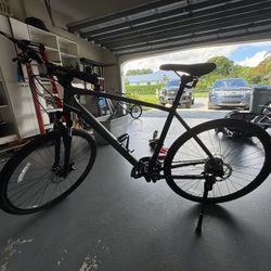 Trek Dual Sport 