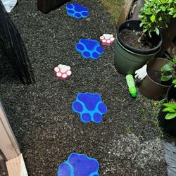 Dog paw, stepping stone