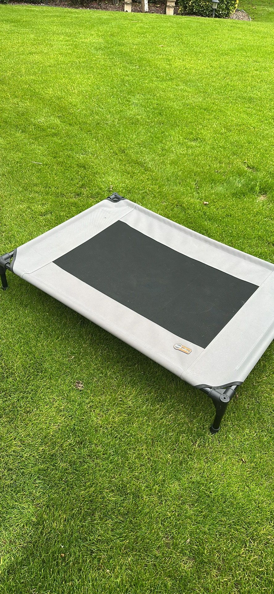 Large Pet Cot
