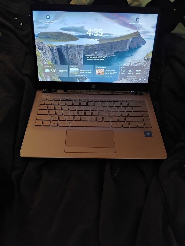 Pink 14 HP Laptop