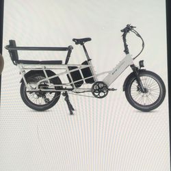 Lectric e-bike expedition.