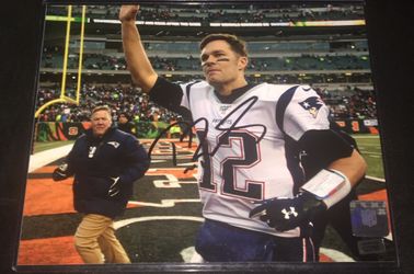 Tom Brady 8x10 singed Photo with CoA