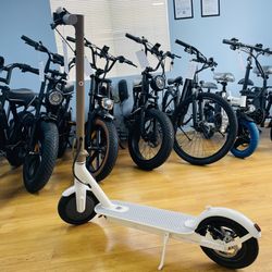 Pulse 500W scooters  19mph 