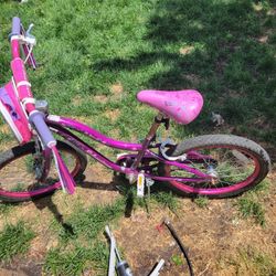 Girl Bike Schwinn 