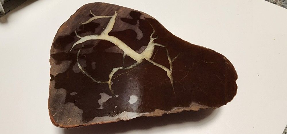 Michigan Lightning Stone