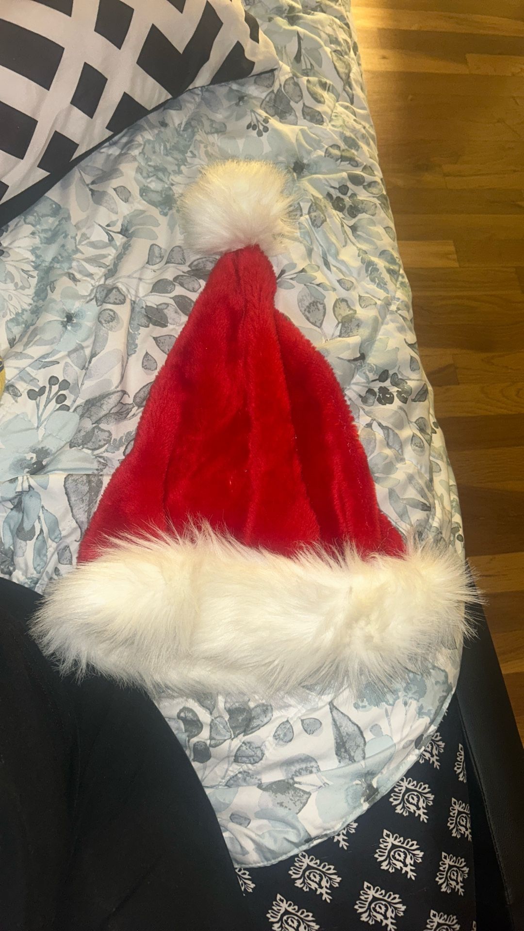 santa hat