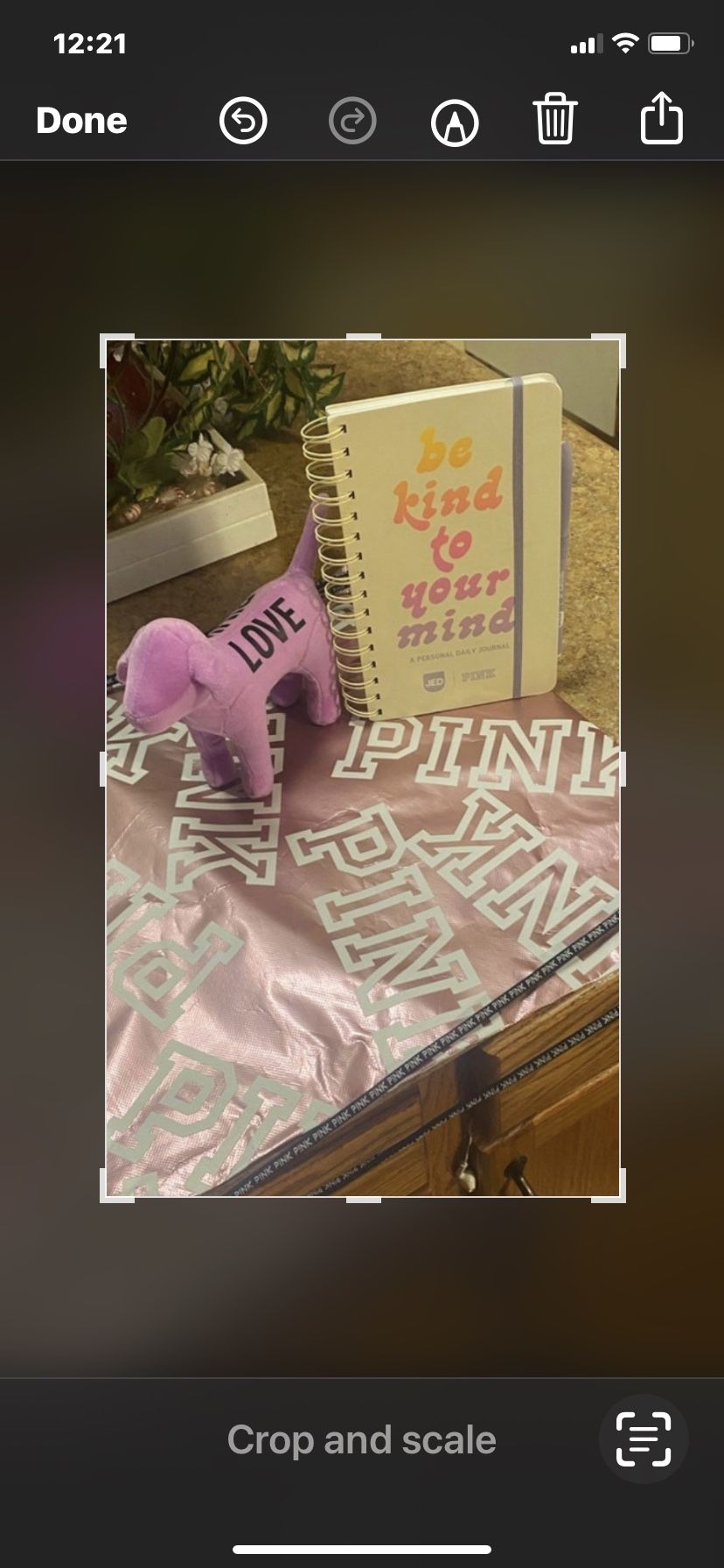 Bundle Of Pink