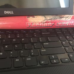 Autographed Vladimir Guerrero Sr. Mini Bat.