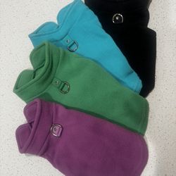 PET Clothes Beautiful