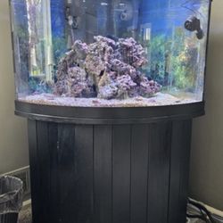 55 Gallon Corner Aquarium Tank with Sump, Stand & Light – Clean / Ready to Use