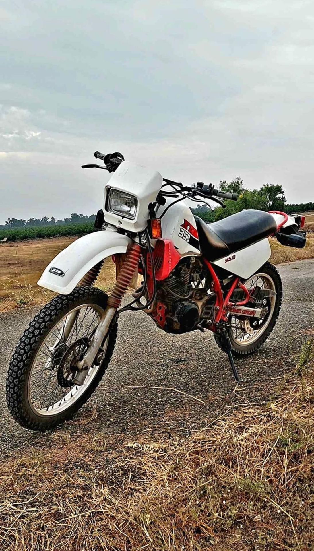Dirt Bike Yamaha XT350 