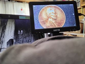 1944 Lincoln Wheat Vintage Coin