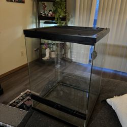 Reptile Tank 