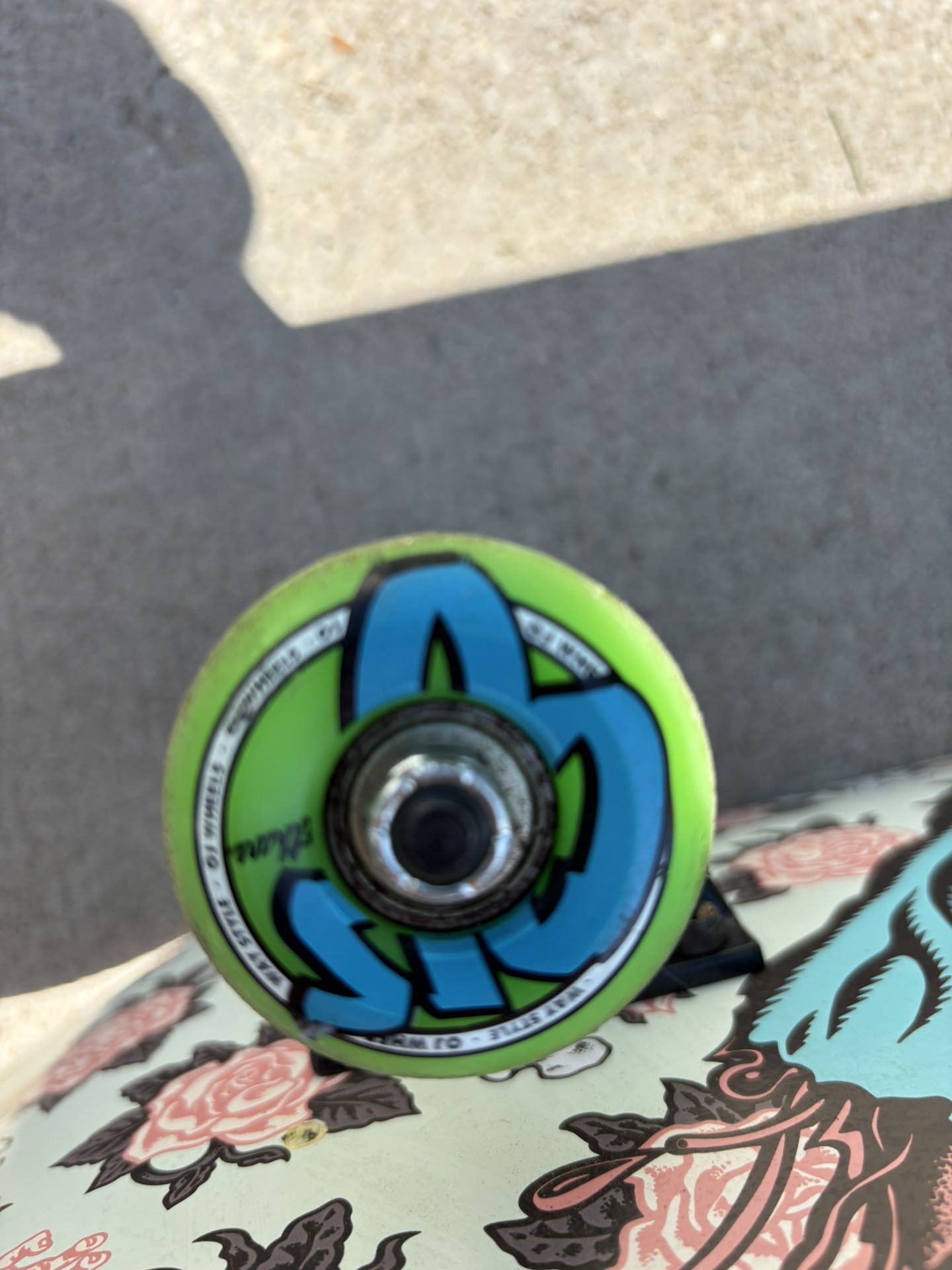 Santa Cruz Skateboard