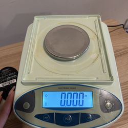 Electronic Scale 