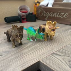 Triceratops (3)