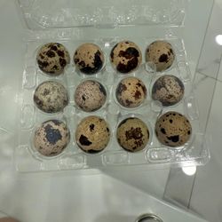 Huevos De Codorniz orgánicos y frescos