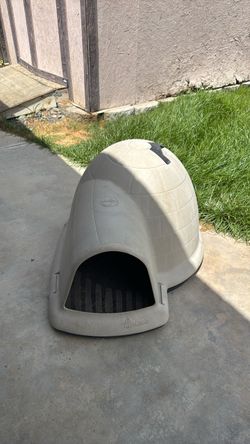 Large dog house