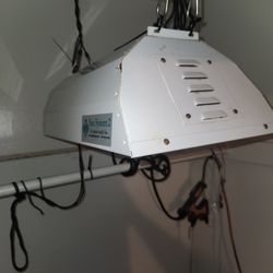 Grow Your Own Fruits & Veggies