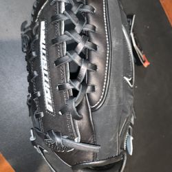 Nike Swingman Baseball Glove Mitt New Unisex 12.5 FLRT
