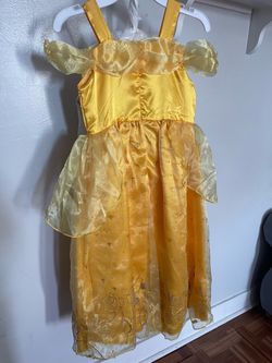 Princess Belle Costume