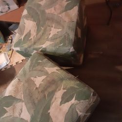 Palm Ottoman $10.00 (Serious Buyers) Cash Only 