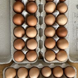JAZ Farm Eggs