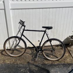 Adult Bike