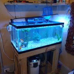 40 Gallon Aquarium Set