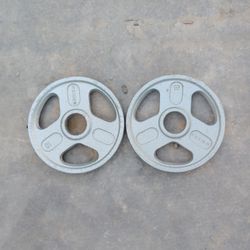 Olympic Weights 2x10lbs