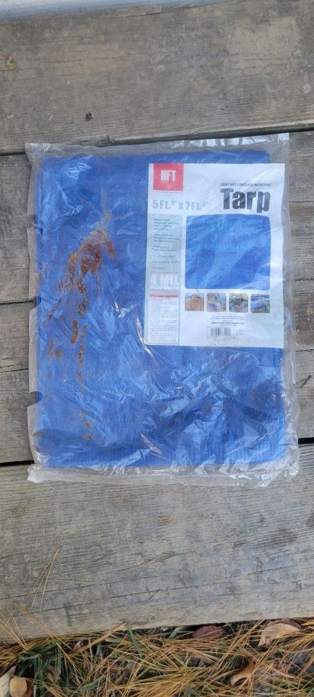 Tarp