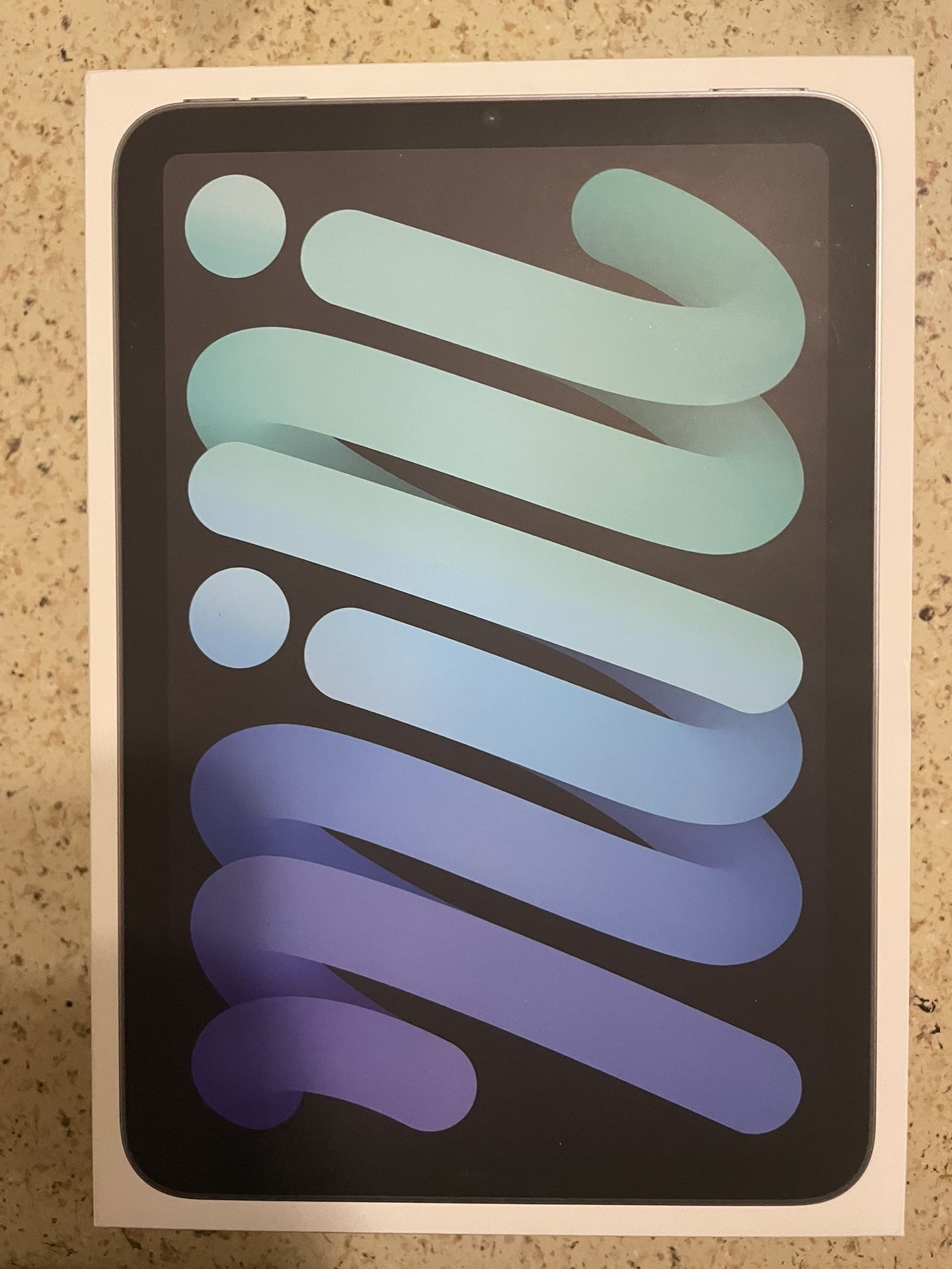 Ipad Mini 256GB 7th gen