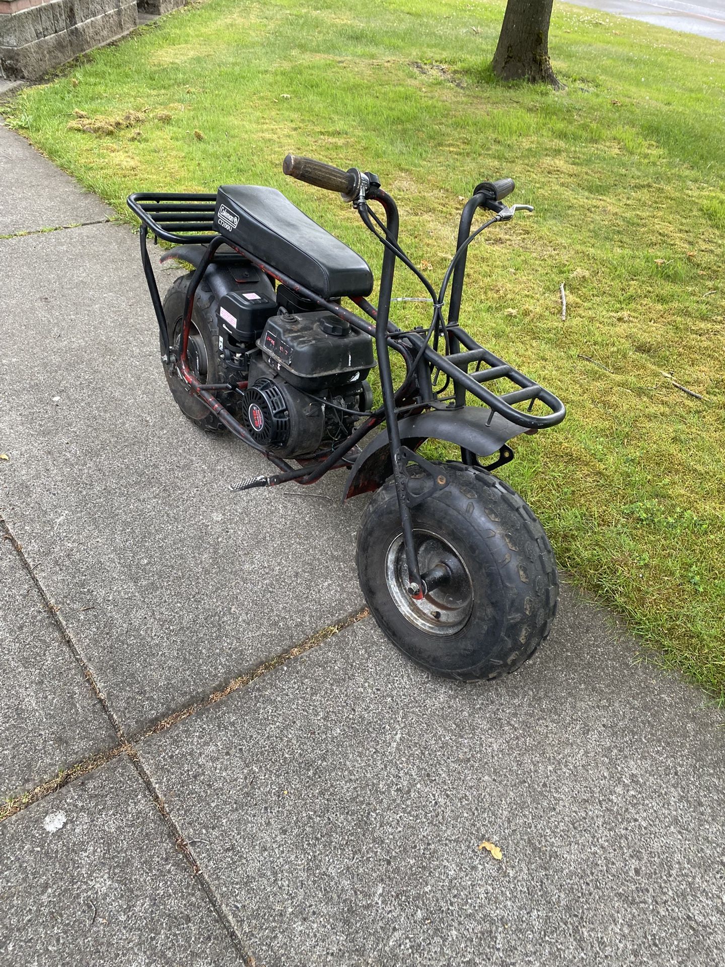 Mini Bike