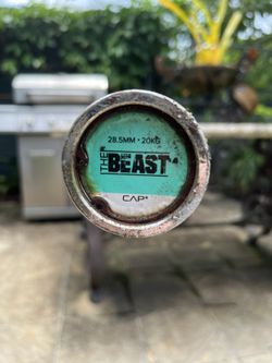 45 lbs Barbell 2 Inch Plates