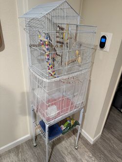 Bird cage and accessories