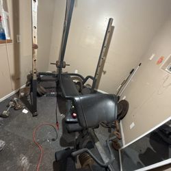 Bench Press