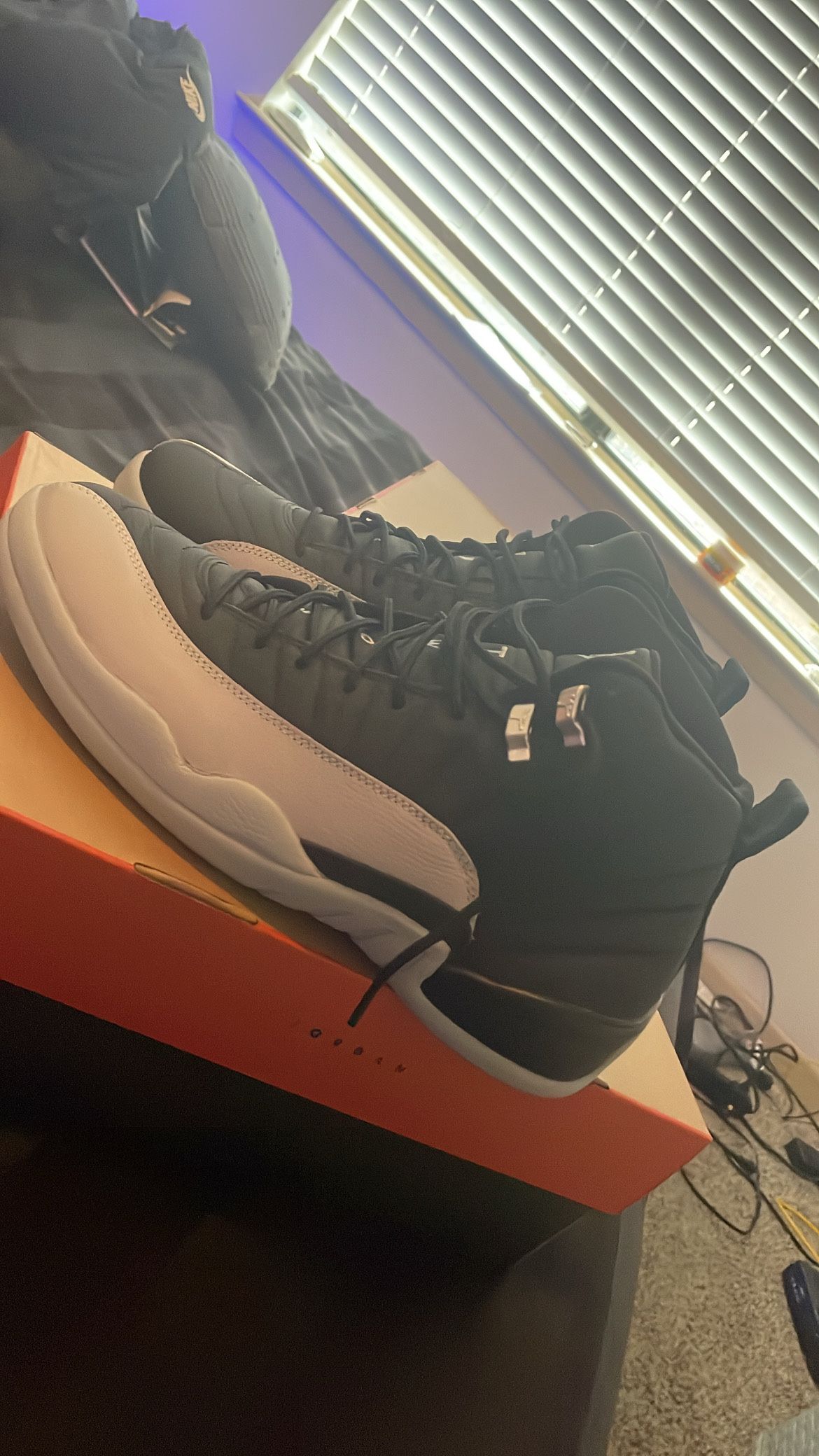 Jordan 12s