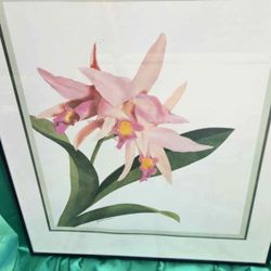 Signed Gloria Eriksen Orchid Floral – Framed Botanical Art