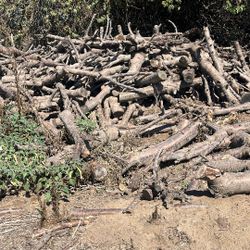 Fire Wood!