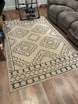 5' x 8' area rug