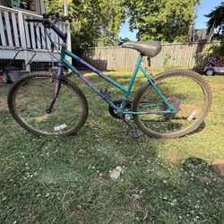 Ladies Magna Alpine Eagle 10 Speed Bike