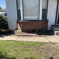 Hedge Removal