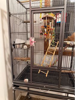 Birdcage