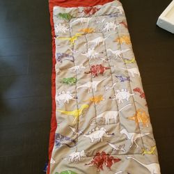 Kids Dinosaur Sleeping Bag